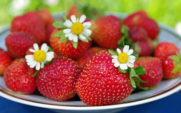 Клубника ягода