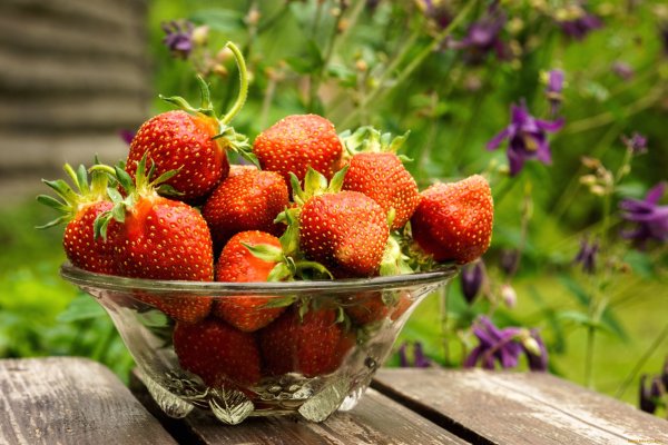 Клубника Моллинг Аллюр