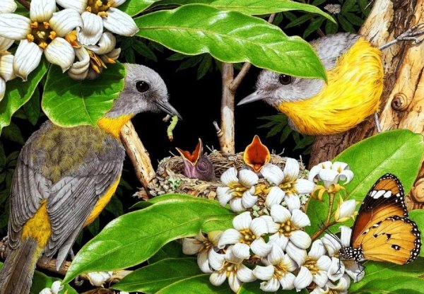 Природа птицы