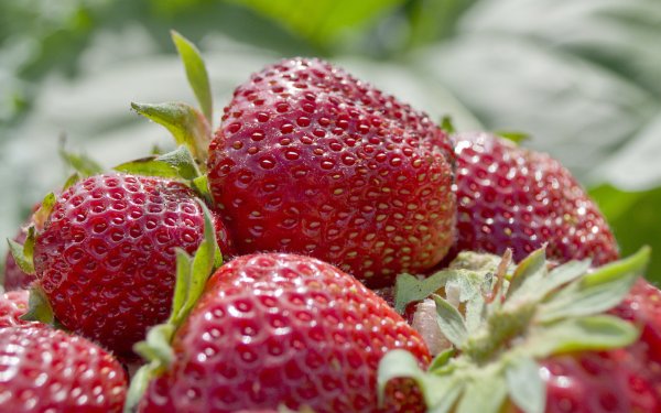 Картинки на рабочий стол ягоды