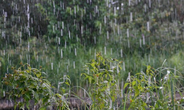 Мелкий дождь