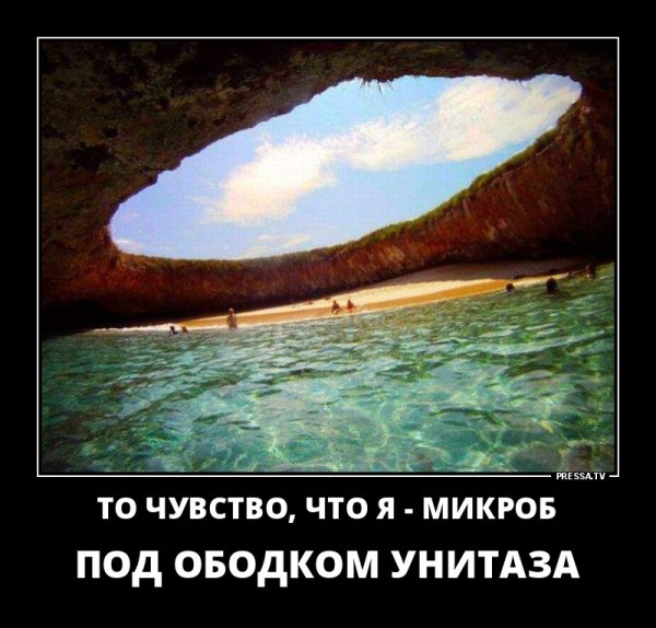 Демотиваторы про конец лета