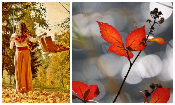 Иллюстрации к бабьему лету