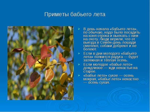 Бабье лето рисунки