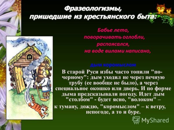 Осень жизни