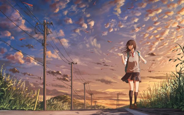 Природа тян