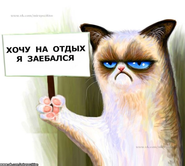 Анекдоты про лето в картинках