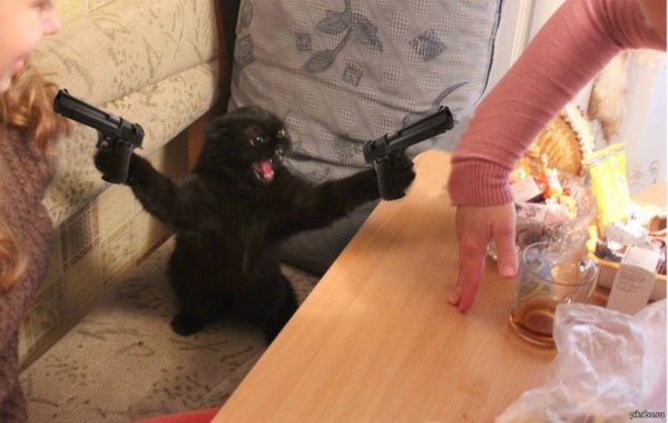 Приколы про Раису