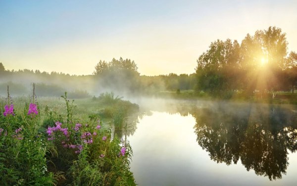 Летняя природа