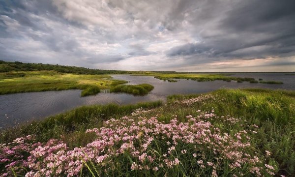 Июнь природа