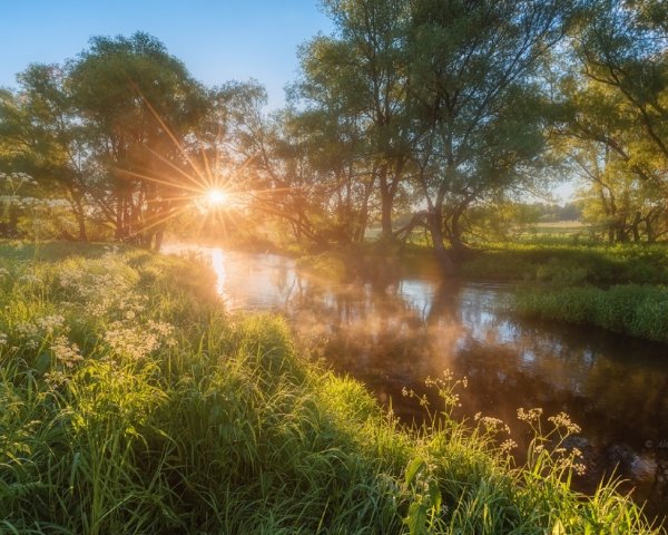 Раннее летнее утро