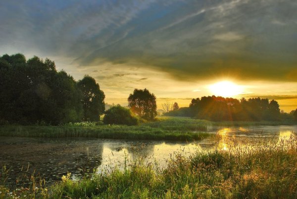 Июльское утро