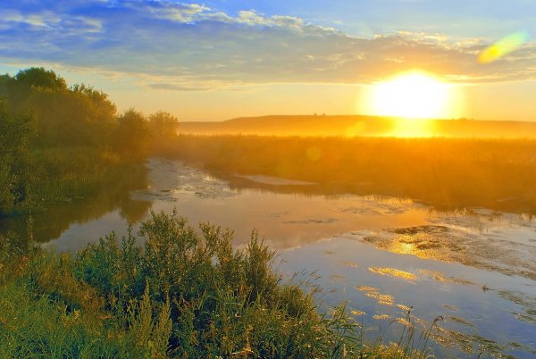Пейзаж утро
