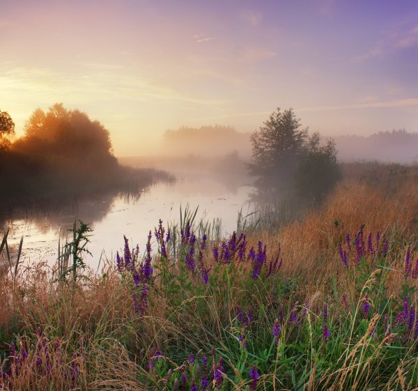 Природа солнце