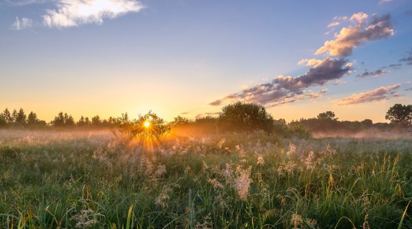 Раннее летнее утро