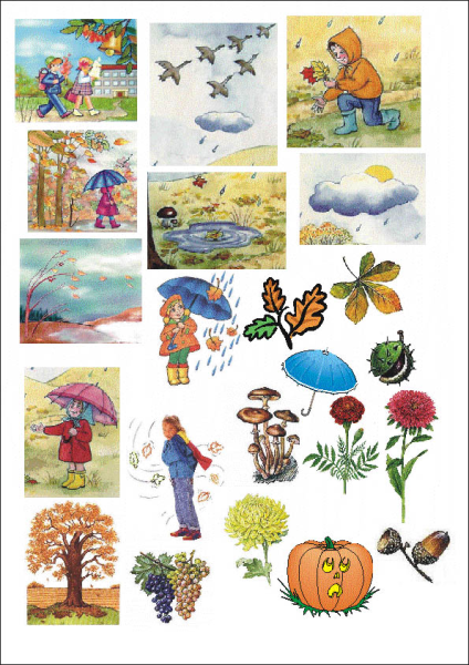 Карточки по временам года