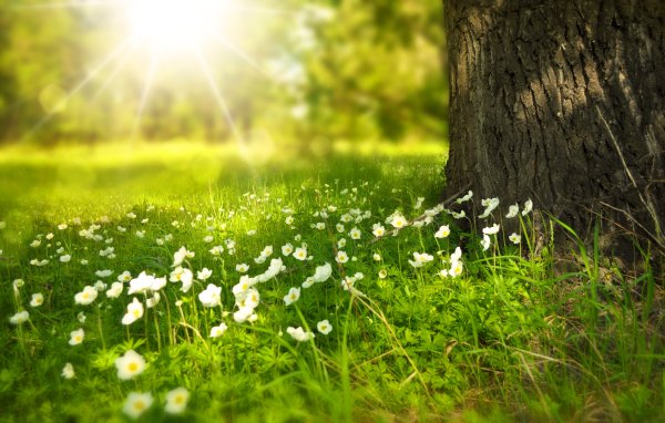 Hello Summer Эстетика
