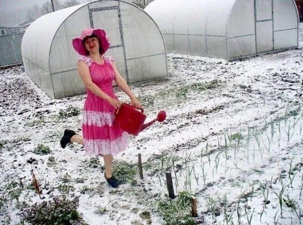 Приколы про лето