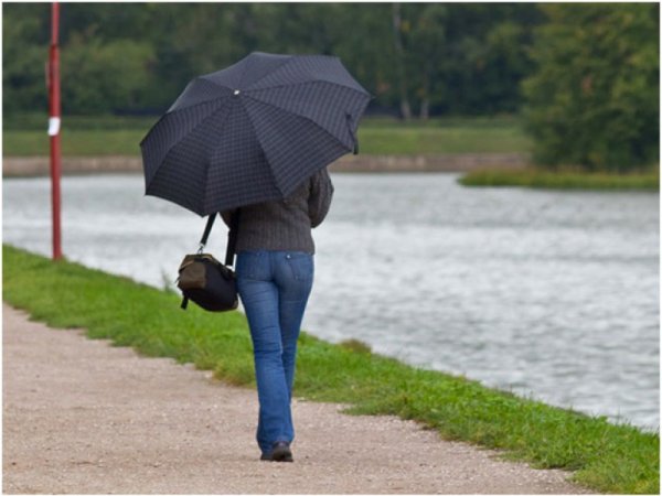 Лето картинки прикольные