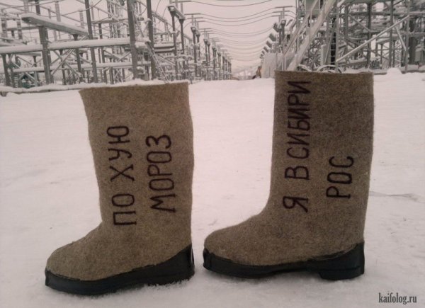 В шубе на пляже