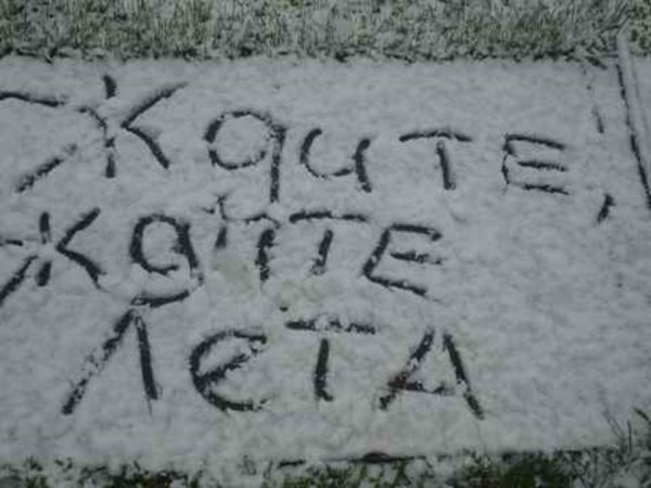 Мультяшки на пляже