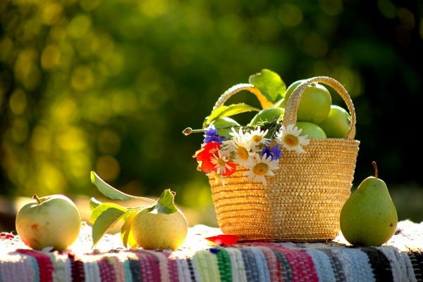 Лето август природа