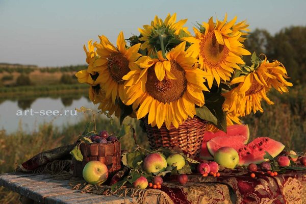 Натюрморты с подсолнухами и фруктами