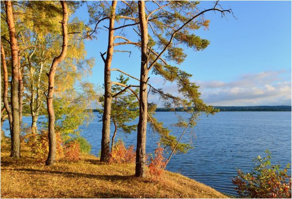 Конец августа природа