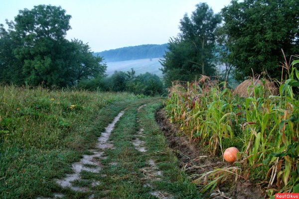 Август конец лета