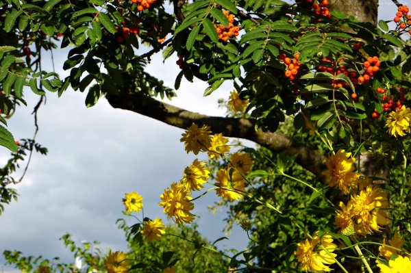 Поздний август