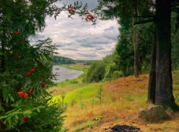 Август природа