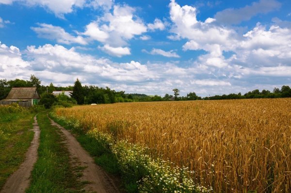 Лето август