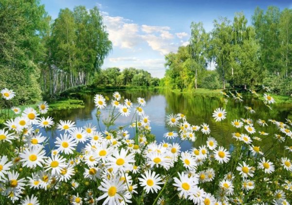 Panasonic TX-60asr800