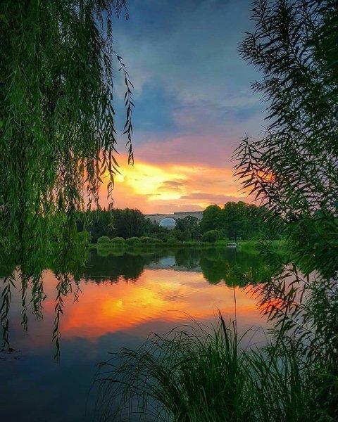 Спокойной ночи друзья