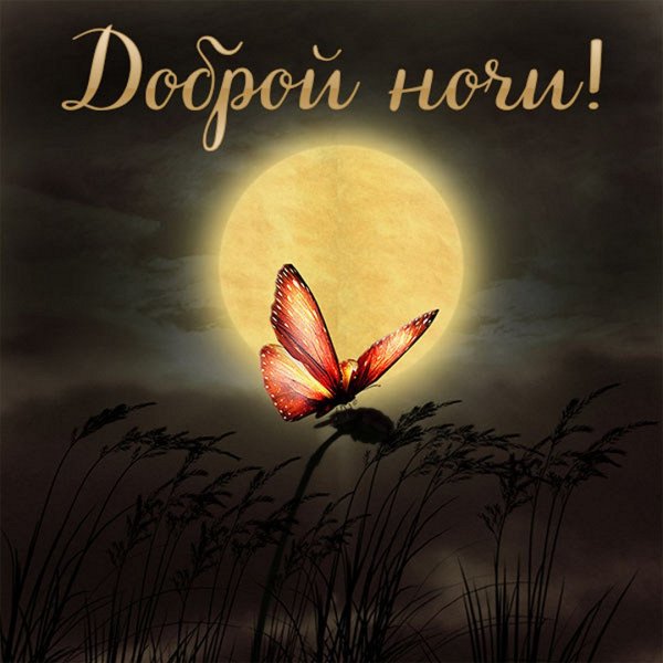 Открытки доброй ночи с природой