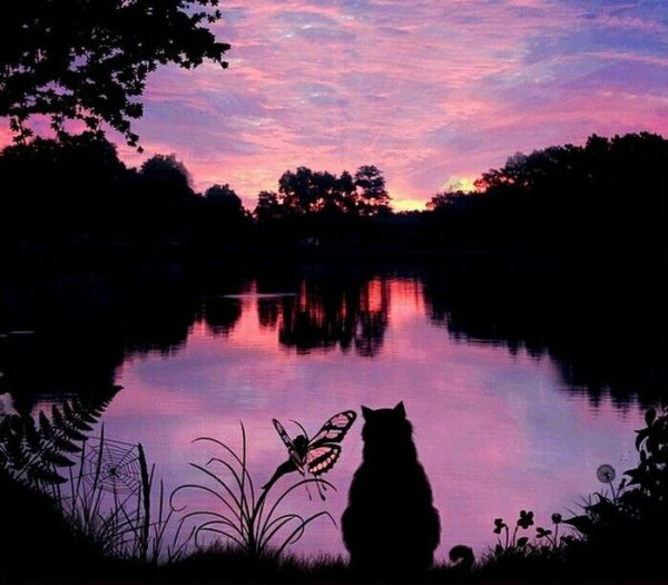 Прекрасная ночь