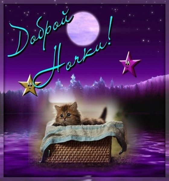 Спокойной уютной ночи