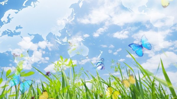 Лето абстракция