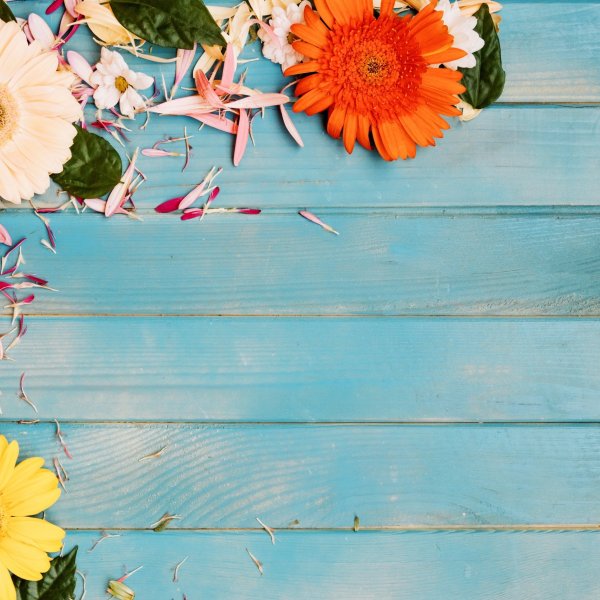 Яркое цветущее лето