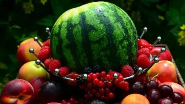 Ягоды и фрукты в саду