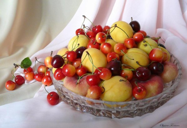 Вкусные дары лета