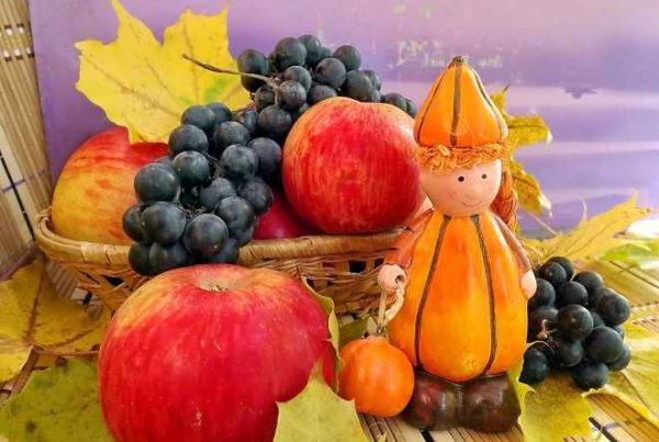 Урожай фруктов и ягод