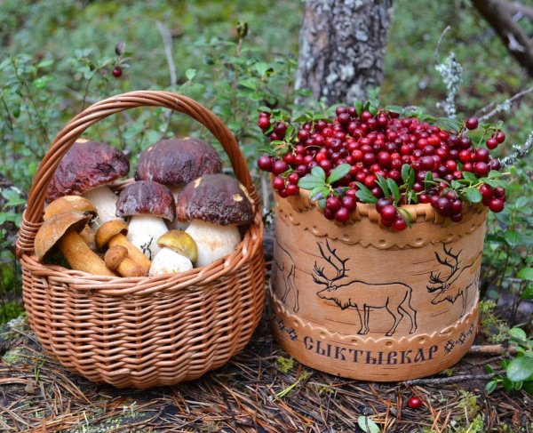 Рисование овощей и фруктов