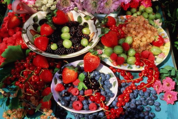 Рисование овощей на выставку в детском саду