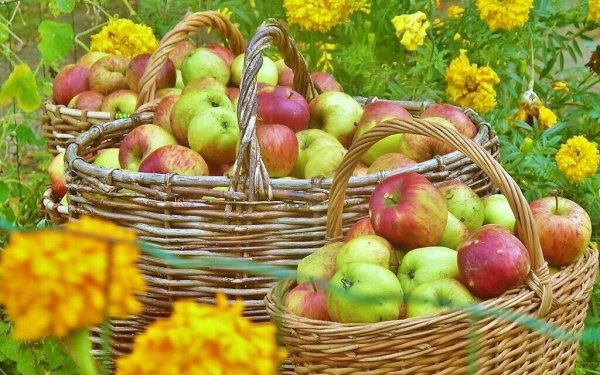 Фотосессия конец августа