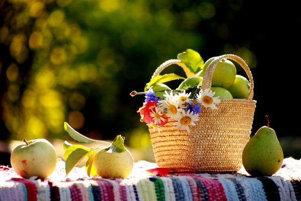 Лето август