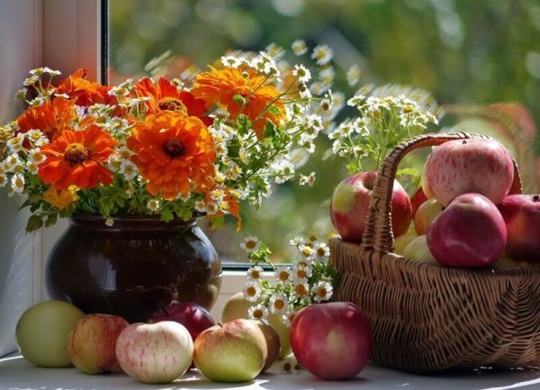 Август природа цветы