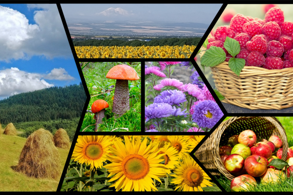 Месяц август