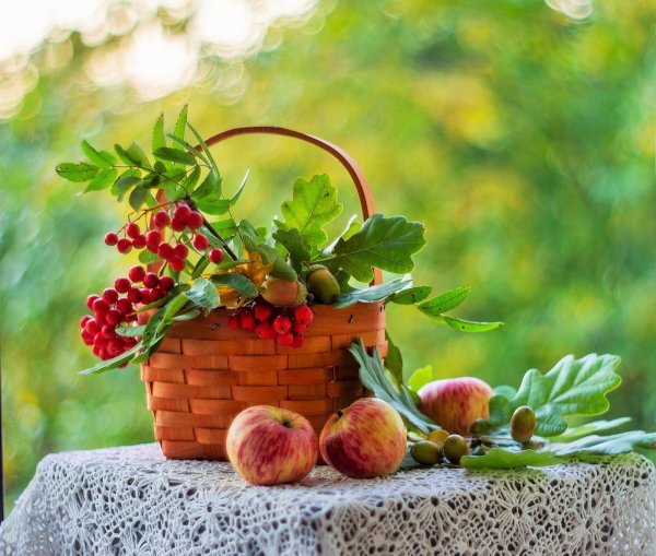 Августовский натюрморт