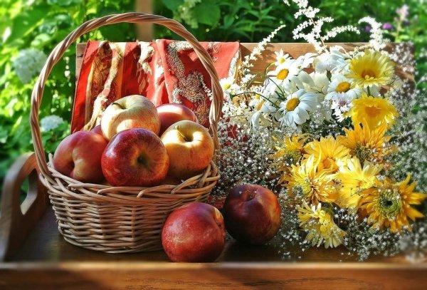 Лето август